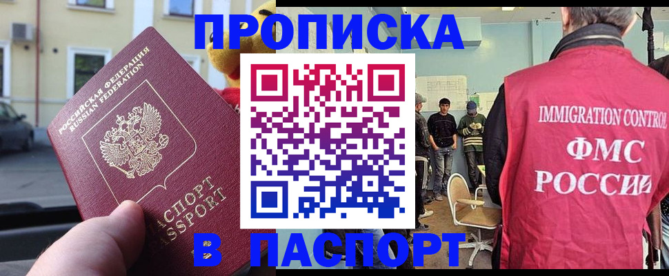 временная регистрация поиск в Заинске